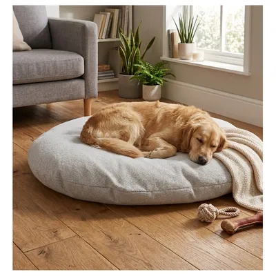 Coussin ovale déhoussable pour chien