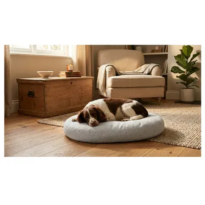 Coussin ovale déhoussable pour chien