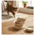 Gamelle ergonomique en céramique pour chat Filou Gamelle ergonomique en céramique pour chat Filou