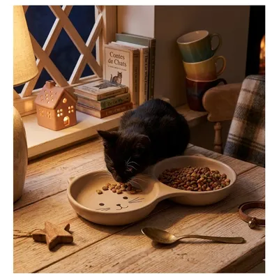 Gamelle 2 en 1 en céramique pour chat