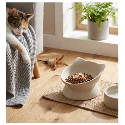 Gamelle ergonomique en céramique pour chat Filou
