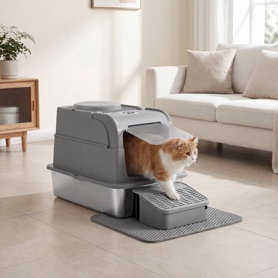 Feandrea Bac à Litière pour Chat, 2 Entrées, avec Pelle et Brosse