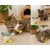 Lot de 2 jouets oiseaux Brella avec cataire pour chat