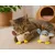 Lot de 2 jouets oiseaux Brella avec cataire pour chat