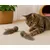 Jouets pour chat Katti balle de cataire avec plumes