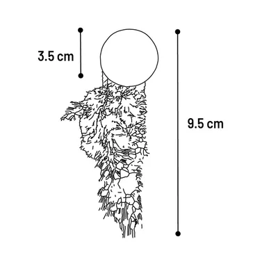 Jouets pour chat Katti balle de cataire avec plumes