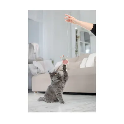 Jouet suspendu Gripi souris avec catnip Peluche pour chat Jouet suspendu Gripi souris avec catnip Peluche pour chat
