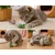 Jouet souris Katti en cataire avec plumes pour chat