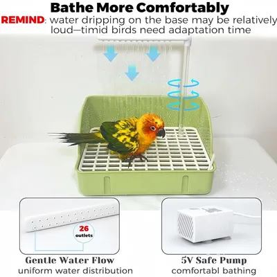 FurryFusion Baignoire automatique pour perroquets
