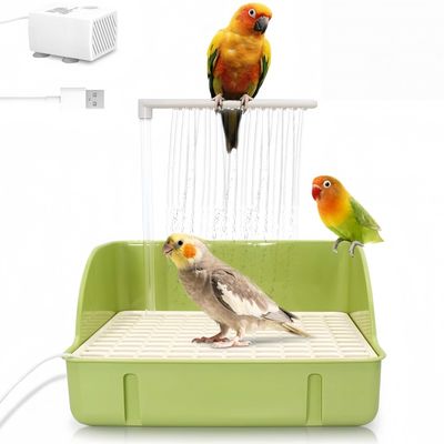 FurryFusion Baignoire automatique pour perroquets