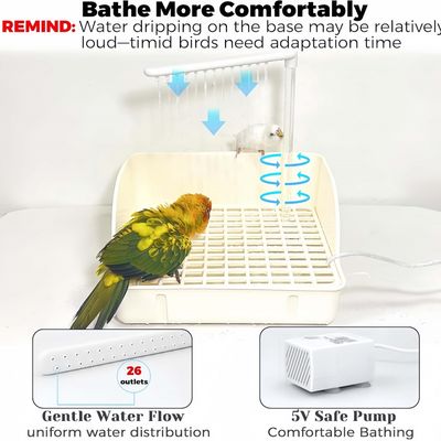 FurryFusion Baignoire automatique pour perroquets