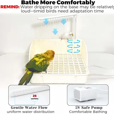 FurryFusion Baignoire automatique pour perroquets