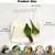 FurryFusion Baignoire automatique pour perroquets