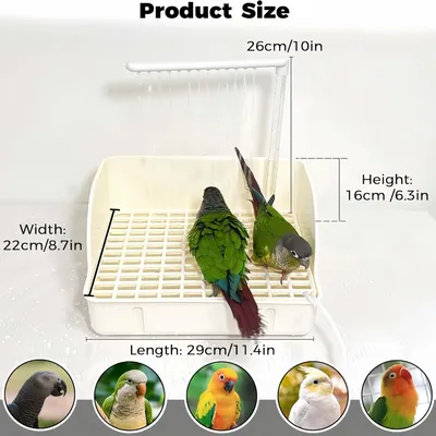 FurryFusion Baignoire automatique pour perroquets