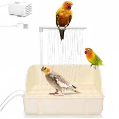 FurryFusion Baignoire automatique pour perroquets