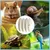 ZooVenture Os Seiche Oiseaux - Naturel, Calcium, 4 Pièces ZooVenture Os Seiche Oiseaux - Naturel, Calcium, 4 Pièces