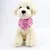 PetTribes Bandana Chat/Chien S | Fleur Boho Réversible (25-42cm) PetTribes Bandana Chat/Chien S | Fleur Boho Réversible (25-42cm)