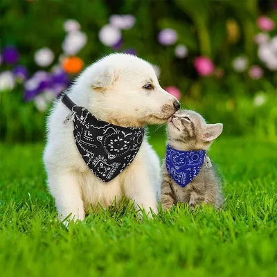 PetTribes Bandana Chat/Chien S | Fleur Boho Réversible (25-42cm) PetTribes Bandana Chat/Chien S | Fleur Boho Réversible (25-42cm)
