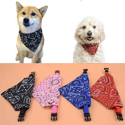 PetTribes Bandana Chat/Chien S | Fleur Boho Réversible (25-42cm) PetTribes Bandana Chat/Chien S | Fleur Boho Réversible (25-42cm)