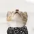 PetTribes Bandana Chat/Chien S | Fleur Boho Réversible (25-42cm) PetTribes Bandana Chat/Chien S | Fleur Boho Réversible (25-42cm)