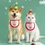 FurryFusion Weihnachtsstirnband mit Teddybärstickerei für Hunde und Katzen