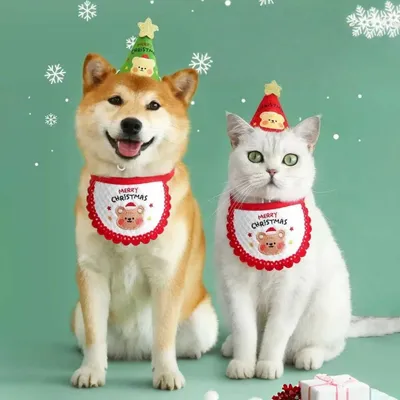 FurryFusion Weihnachtsstirnband mit Teddybärstickerei für Hunde und Katzen