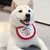 FurryFusion Weihnachtsstirnband mit Teddybärstickerei für Hunde und Katzen