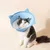 FurryFusion Elisabeth Stoff-Katzenhalsband
