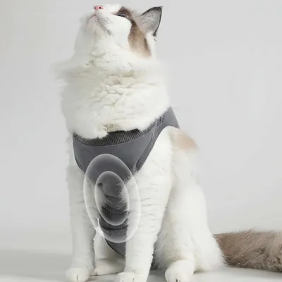 FurryFusion Combinaison de récupération de stérilisation pour chats FurryFusion Combinaison de récupération de stérilisation pour chats