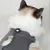 FurryFusion Combinaison de récupération de stérilisation pour chats FurryFusion Combinaison de récupération de stérilisation pour chats