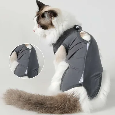 FurryFusion Combinaison de récupération de stérilisation pour chats FurryFusion Combinaison de récupération de stérilisation pour chats