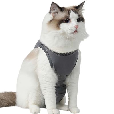 FurryFusion Combinaison de récupération de stérilisation pour chats