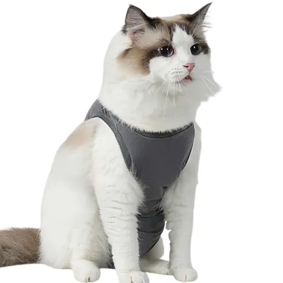 FurryFusion Combinaison de récupération de stérilisation pour chats FurryFusion Combinaison de récupération de stérilisation pour chats