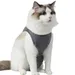 FurryFusion Combinaison de récupération de stérilisation pour chats