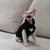 FurryFusion Katzen-Kapuzenweste, schwarz