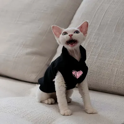 FurryFusion Katzen-Kapuzenweste, schwarz