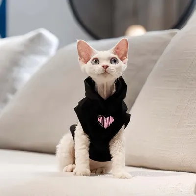 FurryFusion Katzen-Kapuzenweste, schwarz