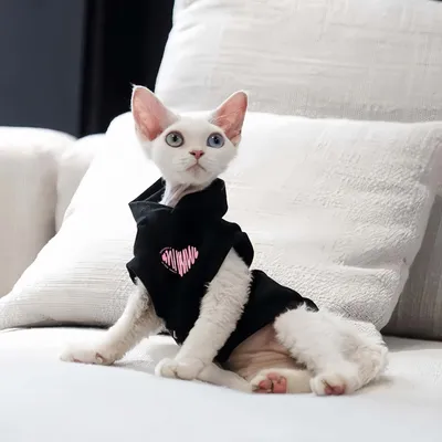 FurryFusion Katzen-Kapuzenweste, schwarz