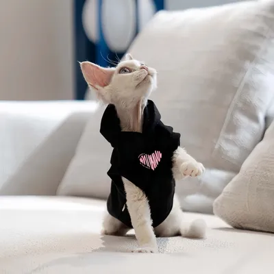 FurryFusion Katzen-Kapuzenweste, schwarz
