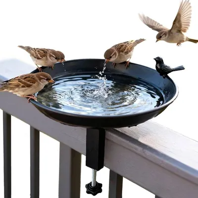 MCBOSON Bain Mangeoire Oiseaux Suspendue Fonte Antigel