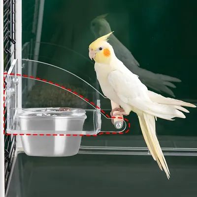 MCBOSON Mangeoire Double Automatique Oiseaux