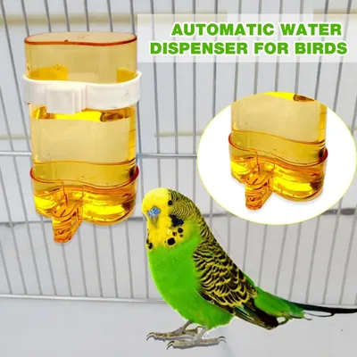 MCBOSON Abreuvoir Automatique Oiseaux avec Clip