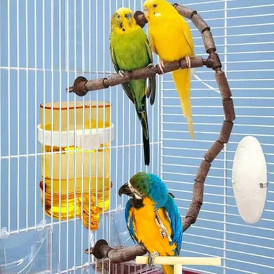 MCBOSON Abreuvoir Automatique Oiseaux avec Clip