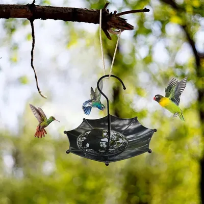 MCBOSON Distributeur de Nourriture pour Oiseaux Extérieur