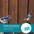 MCBOSON Lot de 4 Abreuvoirs Automatiques Pigeons 500ML PP Transparent