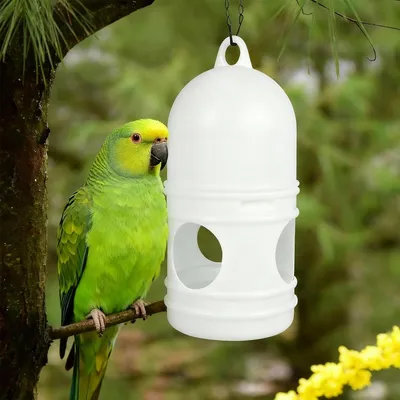 MCBOSON Lot de 2 Distributeurs d'Eau 1L Plastique Blanc pour Oiseaux