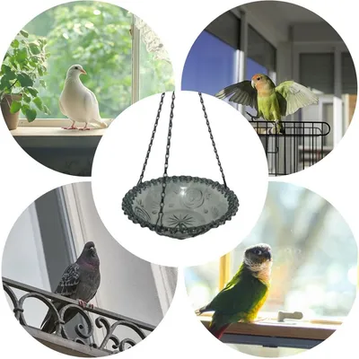 MCBOSON Abreuvoir & bain oiseaux décoration jardin terrasse intérieur