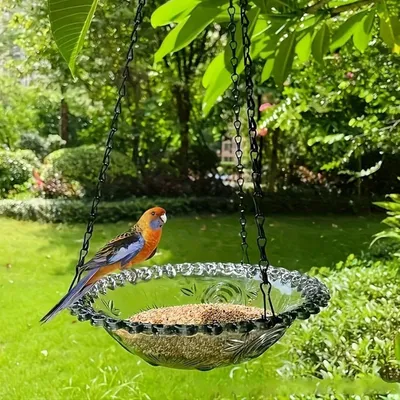 MCBOSON Abreuvoir & bain oiseaux décoration jardin terrasse intérieur