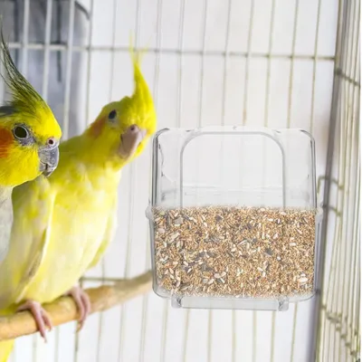 MCBOSON Boîte à Nourriture Externe pour Oiseaux