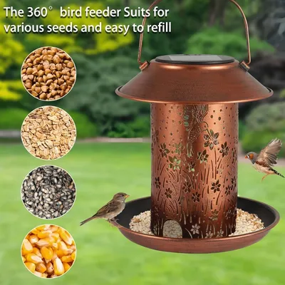 FurryFusion Nourrisseur d'oiseaux solaire pour extérieur